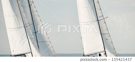 multiple sails at the sailing regatta in the Gulf of Finland, hot race of several yachts, nobody multiple sails at the sailing regatta in the Gulf of Finland, hot race of several yachts, nobody 135421437