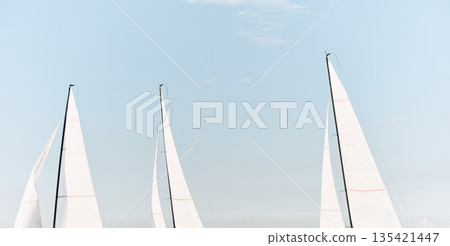 multiple sails at the sailing regatta in the Gulf of Finland, hot race of several yachts, nobody multiple sails at the sailing regatta in the Gulf of Finland, hot race of several yachts, nobody 135421447