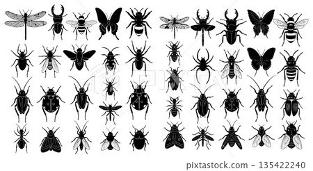 Collection of detailed black silhouette insect illustrations, including butterflies, beetles, bees, 135422240