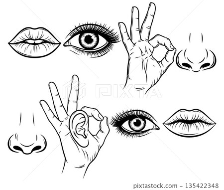 Collection of outlined facial features including lips eyes nose and hands with fingers in ok gesture 135422348