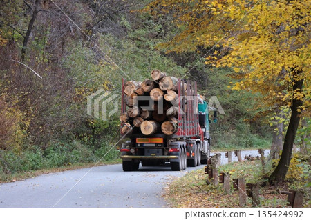 A truck is driving down a road with a trailer full of logs A truck is driving down a road with a trailer full of logs 135424992