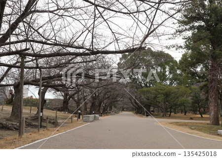 2024年,福岡,福岡市,景觀,中央區,城堡,福岡城遺址,第43部分 2024年,福岡,福岡市,景觀,中央區,城堡,福岡城遺址,第43部分 135425018
