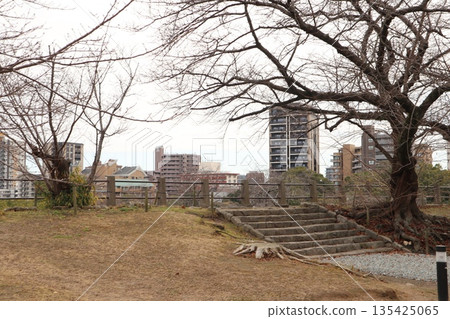 2024, Fukuoka, Fukuoka City, Scenery, Chuo Ward, Castle, Fukuoka Castle Ruins, Part 44 2024, Fukuoka, Fukuoka City, Scenery, Chuo Ward, Castle, Fukuoka Castle Ruins, Part 44 135425065