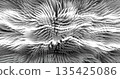In shades of grey abstract texture created with Gradient flow and 3D structure imitate the movement of liquid or wind. Vibrant colors, volumetric waves and digital noise create a sense of depth and 135425086
