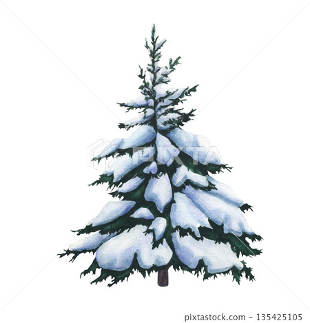Spruce tree in the snow. Watercolor illustration of Fir tree covered snow on white background. Isolated of Christmas tree covered in snow. Tree of Snowy forest for design, invitation or postcard Spruce tree in the snow. Watercolor illustration of Fir tree covered snow on white background. Isolated of Christmas tree covered in snow. Tree of Snowy forest for design, invitation or postcard 135425105