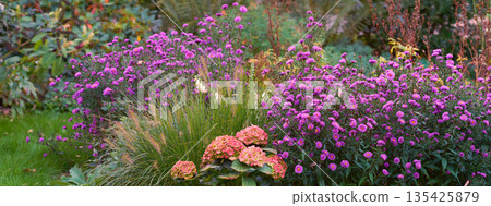 Spring, nature and environment with flowers in garden for blossom, landscape and sustainability. Gardening, peace and growth with plants in forest meadow for ecology, floral and ecosystem 135425879