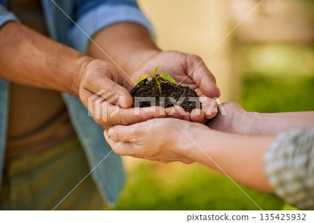 Plants, hands and teamwork of people for eco friendly growth, sustainability support and agriculture. Sapling soil, farmer with partner palm for sustainable gardening, nonprofit or earth day closeup 135425932