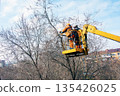 Municipal service workers stand with a chainsaw in a crane basket and trim dangerous trees 135426025