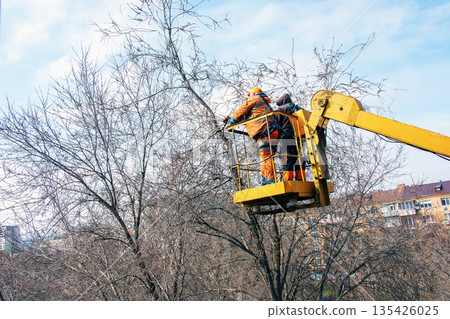 Municipal service workers stand with a chainsaw in a crane basket and trim dangerous trees Municipal service workers stand with a chainsaw in a crane basket and trim dangerous trees 135426025