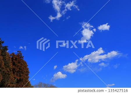 Blue sky and white clouds Blue sky and white clouds 135427516