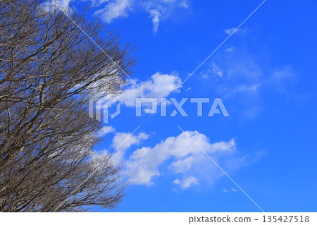 Blue sky and white clouds Blue sky and white clouds 135427518