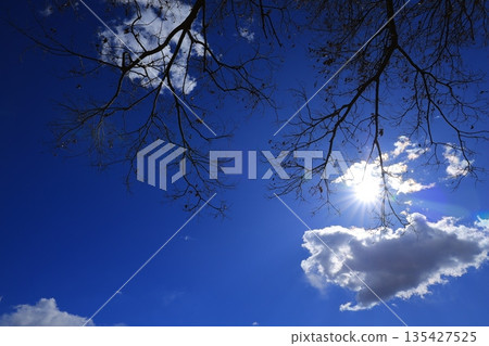 藍天和白色雲彩 135427525
