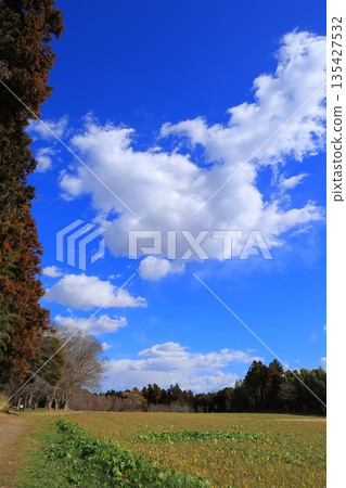 Blue sky and white clouds Blue sky and white clouds 135427532
