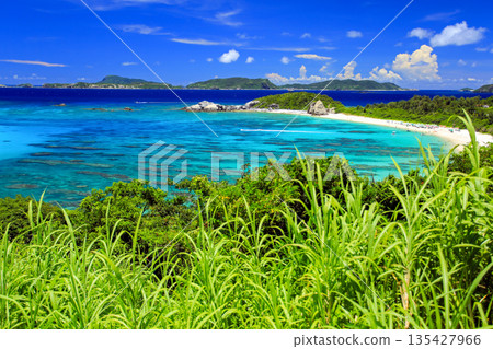 Summer Okinawa Tokashiki Island scenery Aharen Beach 135427966