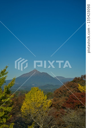 都城市山田町市道丘公園,2025 年秋季 都城市山田町市道丘公園,2025 年秋季 135428098