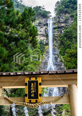 Kumano Hiro Shrine's torii gate and Nachi Falls 135428309