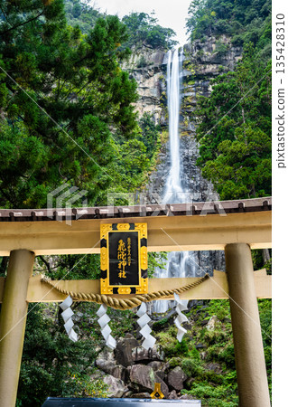 Kumano Hiro Shrine's torii gate and Nachi Falls 135428310