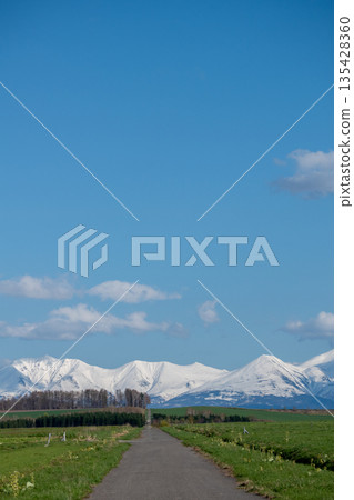 春天通往雪山的草路 春天通往雪山的草路 135428360