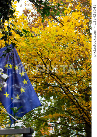 European flag waving gently amidst vibrant autumn leaves in a city park 135428543