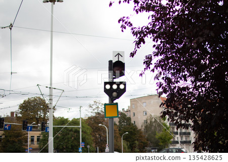 Traffic signal shows green light for vehicles on a cloudy day in the city Traffic signal shows green light for vehicles on a cloudy day in the city 135428625