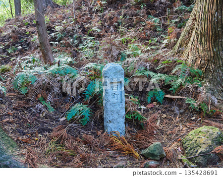 Scenery of a stone monument marking the old hiking trail of the Kumano Kodo, a tourist attraction in Wakayama Prefecture 135428691