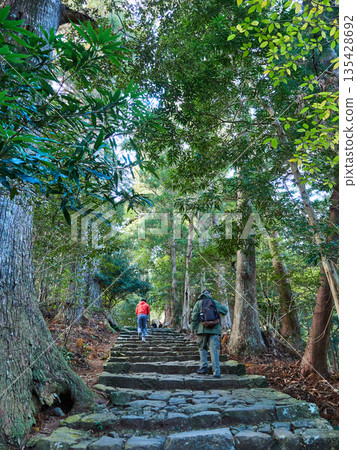 外國遊客漫步在和歌山縣旅遊景點熊野古道的鵝卵石路上。 135428692