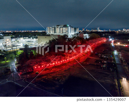 Aerial shot of the illuminated cherry blossom corridor in Minuma rice fields, Saitama Prefecture, taken with a drone Aerial shot of the illuminated cherry blossom corridor in Minuma rice fields, Saitama Prefecture, taken with a drone 135429007