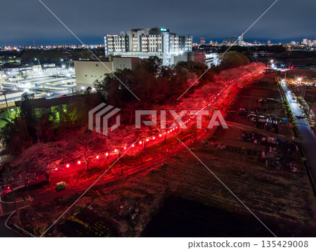 Aerial shot of the illuminated cherry blossom corridor in Minuma rice fields, Saitama Prefecture, taken with a drone Aerial shot of the illuminated cherry blossom corridor in Minuma rice fields, Saitama Prefecture, taken with a drone 135429008