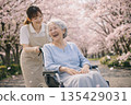 Under the soft spring sunshine, caregivers and patients take a leisurely stroll along the rows of cherry blossom trees in full bloom. 135429031