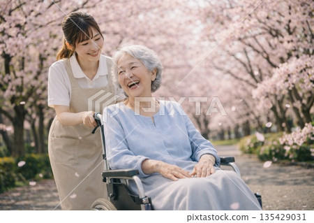 Under the soft spring sunshine, caregivers and patients take a leisurely stroll along the rows of cherry blossom trees in full bloom. 135429031