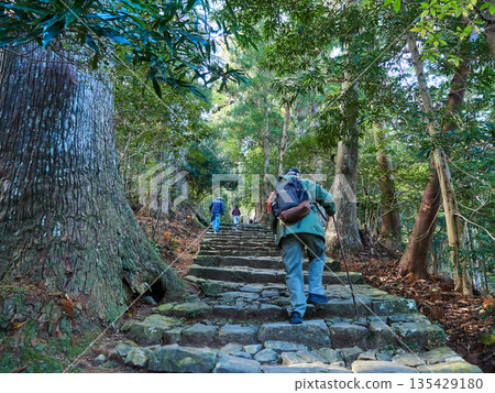 Foreign tourists walking on the cobblestone road of the old hiking trail of Kumano Kodo, a tourist attraction in Wakayama Prefecture Foreign tourists walking on the cobblestone road of the old hiking trail of Kumano Kodo, a tourist attraction in Wakayama Prefecture 135429180