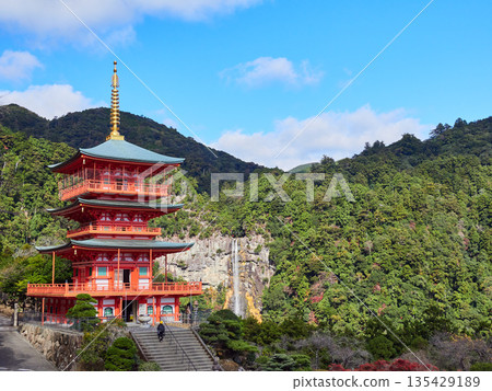 Tourists enjoying the scenery of the three-story pagoda of Seiganto-ji Temple and Nachi Falls in Nachikatsuura, a tourist attraction in Wakayama Prefecture, in autumn Tourists enjoying the scenery of the three-story pagoda of Seiganto-ji Temple and Nachi Falls in Nachikatsuura, a tourist attraction in Wakayama Prefecture, in autumn 135429189