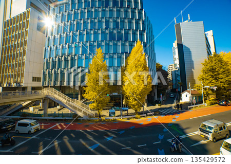 明治通街道兩旁是金黃色的銀杏樹，車水馬龍。 [秋景] 135429572