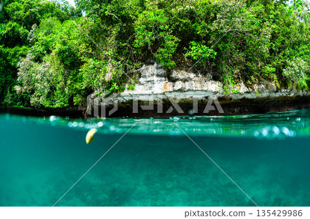 Beautiful ocean and southern island scenery of Palau 135429986