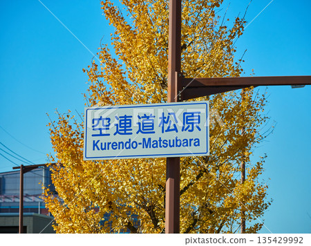 秋季金黃的銀杏樹景色，以及泉佐野市道路上安裝的松原索倫多路牌。 135429992