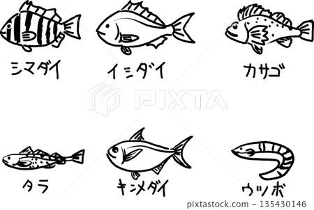 可愛的手繪塗鴉插圖，描繪了條紋鯛魚、石頭魚、岩魚、鱈魚、金紅鯛魚和海鰻。 135430146