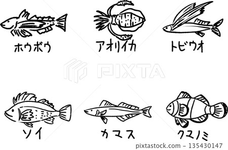 可愛的線條畫插圖，包括魴魚、大鰭礁魷、飛魚、黑鯛、梭魚和小丑魚。 135430147
