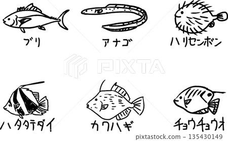 Cute yellowtail, conger eel, porcupine fish, sanderfish, filefish, and butterflyfish line drawing illustrations Cute yellowtail, conger eel, porcupine fish, sanderfish, filefish, and butterflyfish line drawing illustrations 135430149