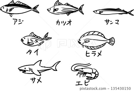 Cute horse mackerel, bonito, saury, sea bream, flounder, shark, shrimp doodles, hand-drawn line drawing illustrations of fish 135430150