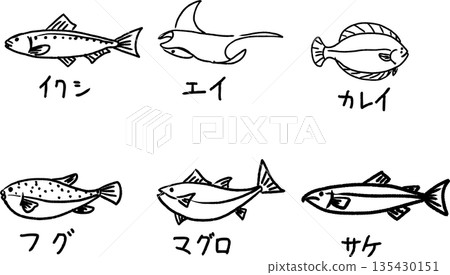 可愛的沙丁魚、鰩魚、比目魚、河豚、鮪魚、鮭魚塗鴉,手繪線條魚插圖 可愛的沙丁魚、鰩魚、比目魚、河豚、鮪魚、鮭魚塗鴉,手繪線條魚插圖 135430151