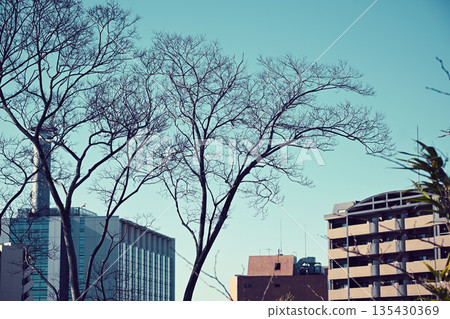 Clear winter scenery Clear winter scenery 135430369
