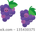 Grape  135430375