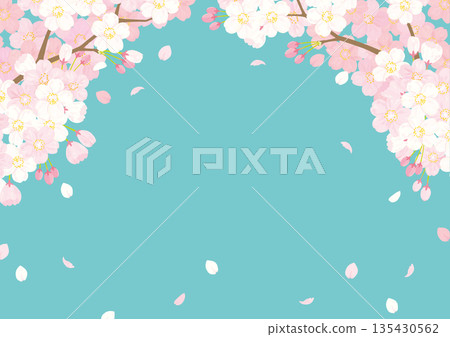 Cherry background illustration 135430562