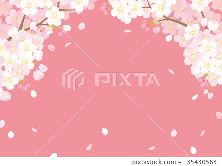 Cherry background illustration Cherry background illustration 135430563