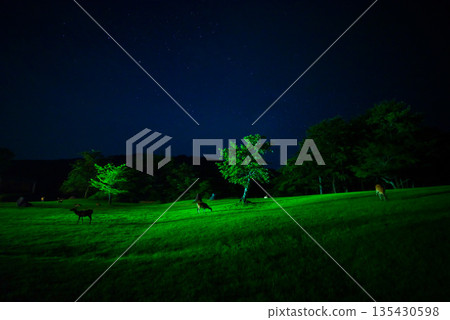 高地之夜，繁星點點，鹿群出沒 135430598