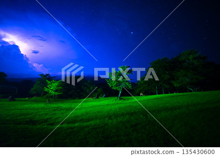 Night Plateau (Lightning and Deer) 135430600