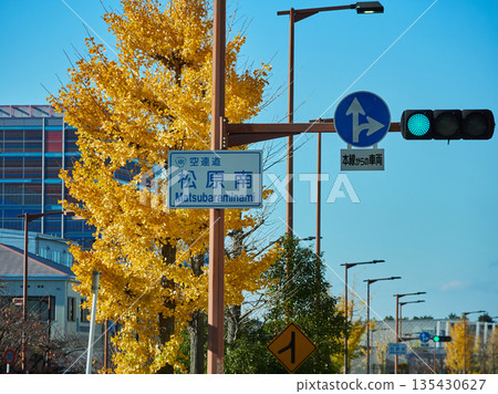 秋季金黃的銀杏樹景色,以及泉佐野市久洞路上的松原南路標 秋季金黃的銀杏樹景色,以及泉佐野市久洞路上的松原南路標 135430627
