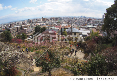 Okamoto Park with its plum grove and the Kobe cityscape 135430678