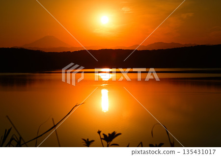 Mount Fuji in the sunset, Lake Sayama, view from the shore of Lake Sayama Mount Fuji in the sunset, Lake Sayama, view from the shore of Lake Sayama 135431017