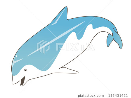 海豚 海豚 135431421